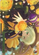 「サブタレイニアンローズ」【箱プロモ】【箔押し】【PR】