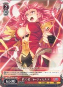 真の姿 コーティカルテ