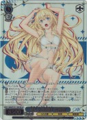 新しい夜明け 女神官【SR】