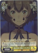 歯がゆい思い フェリス