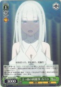 上っ面の綺麗事 カペラ