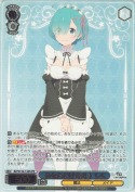 あなただけを想う レム【カートンPR】