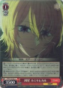 凶星 カミキヒカル