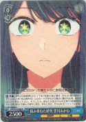積み重ねた研究 黒川あかね【R】