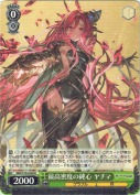 最高密度の純心 ヤチマ【R】