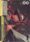 CODENAME - RED HOOD -