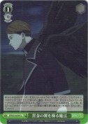 黒金の翼を操る魔法