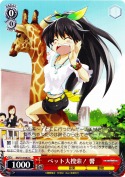 ペット大捜索！ 響
