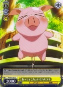 おっちょこちょいなハルユキ