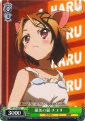 銀色の猫チユリ