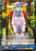 隠棲中のスカイ・レイカー【RR】
