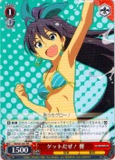 ゲットだぜ！ 響【RR】