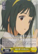 雨に想う小鳥さん