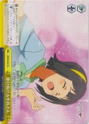 駆け抜ける小鳥さん