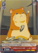 好物はひまわりの種！ハム蔵
