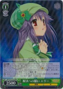 解決への願い エリー【RRR】