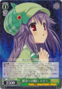 解決への願い エリー【R】