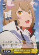 近衛騎士団 フェリス
