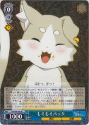 もぐもぐパック【R】