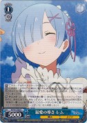最愛の導き レム【R】