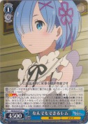 なんでもできるレム