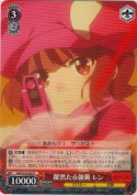 躍然たる強襲 レン【R】