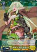 未知への羨望  妖精弓手【R】
