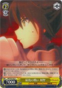 最後の戦い 剣聖