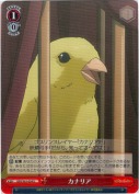 カナリア