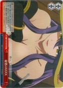 秘密のXXXX
