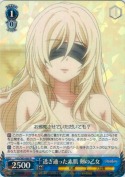 透き通った素肌 剣の乙女【R】