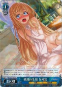 純潔の生娘 女神官【R】
