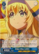 博識の理由 女神官