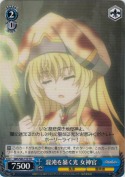 混沌を暴く光 女神官【TD】