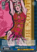 覚醒する力 S･G