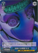 追跡する映像 M･B