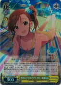 砂浜のグラビアアイドル　双海真美【BNP】