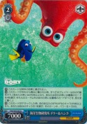 海洋生物研究所 ドリー＆ハンク