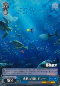 感動の冒険 ドリー【箱プロモ】