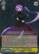 対峙する絶望 シャルティア【R】