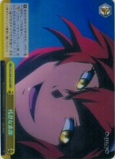 残忍な素顔【RRR】