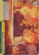 第十位階魔法〈隕石落下〉