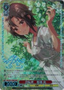 自転車　菊地 真【BNP】