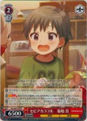 セピアカラフル　菊地 真