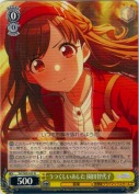 うつくしいあした 園田智代子