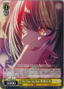 No fun, no fun 斑鳩ルカ
