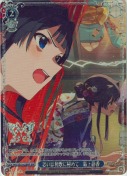 思いは和歌に秘めて　最上静香【BNP】