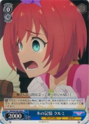 本の記憶 クルミ