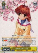 春の光の中で 渚【RR】