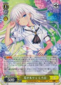 夏が来りて しろは【R】